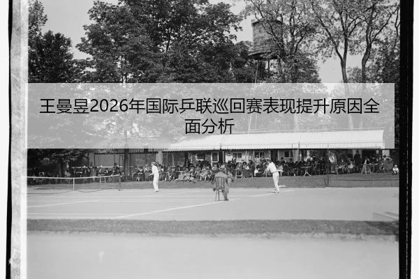 wang-man-yu-nian-guo-ji-ping-lian-xun-hui-sai-biao-xian-ti-sheng-yuan-yin-quan-mian-fen-xi-2-830.jpg